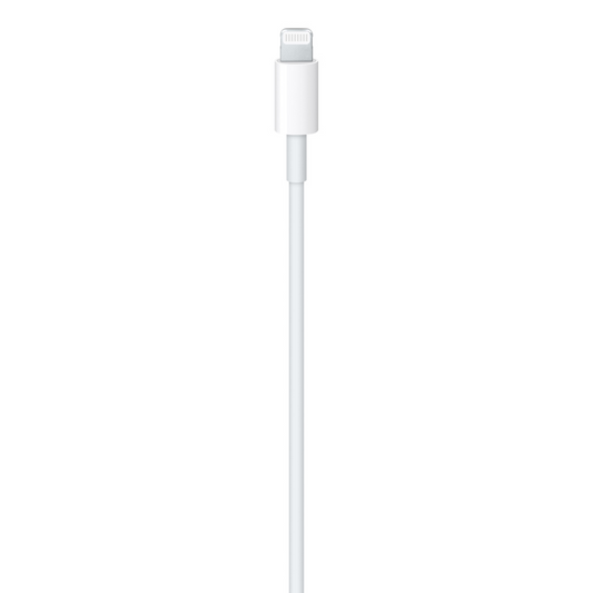 Apple Lightning to USB C Cable 1m White